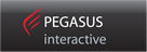 PEGASUS INTERACTIVE - Agencja interaktywna