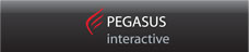PEGASUS INTERACTIVE - Digital Agency Poland